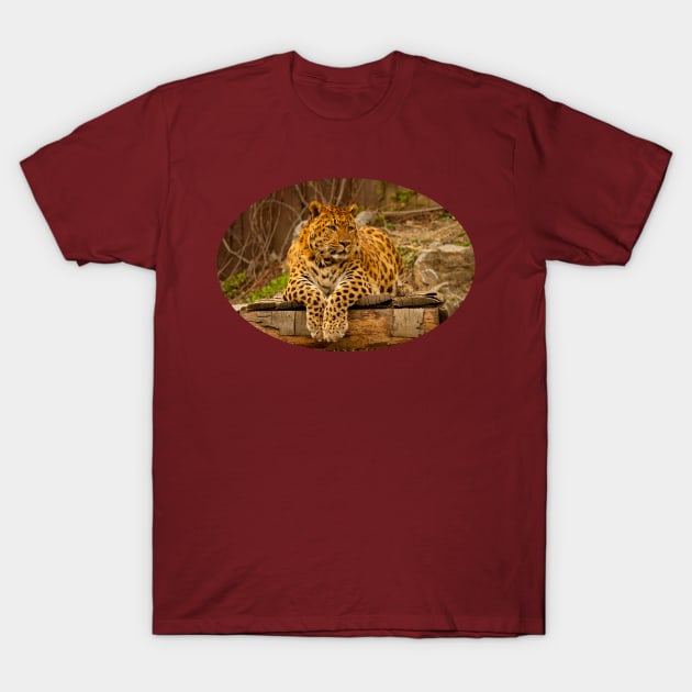 Leopard T-Shirt by mmuzanic